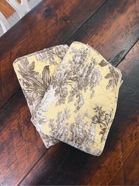 Pottery Barn Yellow and Brown Toile Pillow Shams (Pair)
